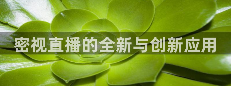 乐球直播网址乐球：密视直播的全新与创新应用