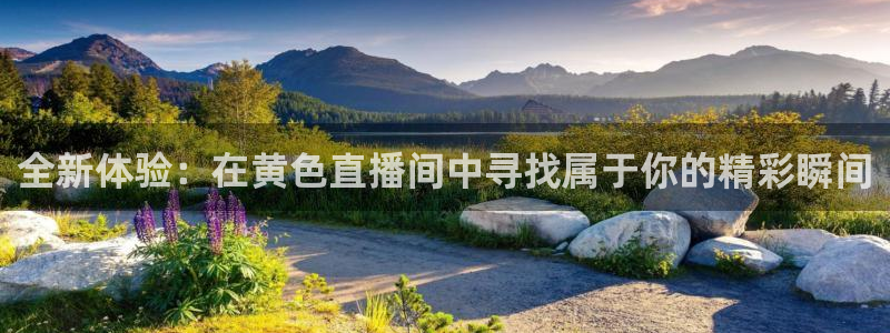 乐球直播入口：全新体验：在黄色直播间中寻找属于你的精彩瞬间