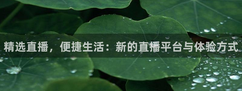 乐球直播在线看：精选直播，便捷生活：新的直播平台与体验方式