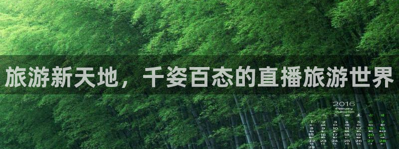乐球直播nba：旅游新天地，千姿百态的直播旅游世界