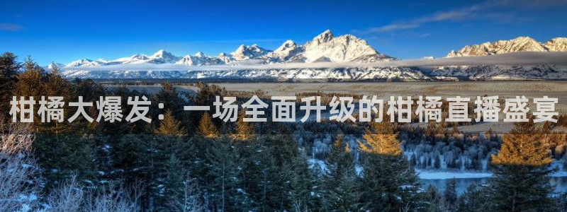 乐球直播雨燕免费高清观看：柑橘大爆发：一场全面升级的柑橘直播盛宴